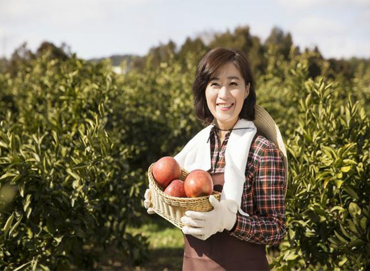 【潤(rùn)康】磨煤機(jī)磨輥與您分享：互聯(lián)網(wǎng)巨頭紛紛賣(mài)菜，農(nóng)民會(huì)不會(huì)被“割韭菜”？